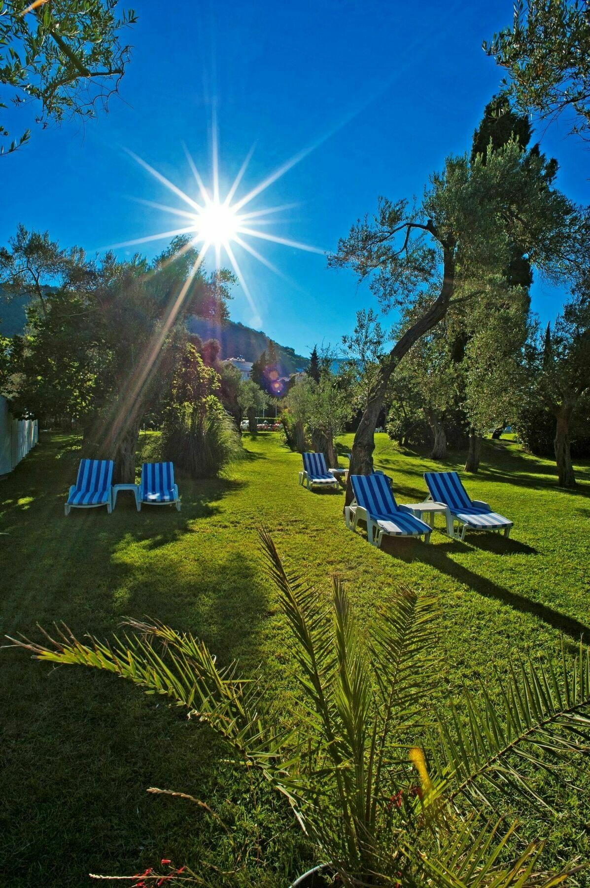 Hotel Rivijera Petrovac Luaran gambar